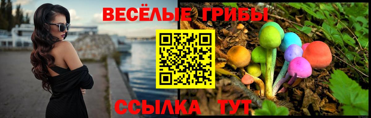 Псилоцибиновые грибы MAGIC MUSHROOMS  Вход с VPN  Псилоцибиновые грибы MAGIC MUSHROOMS  Александров 